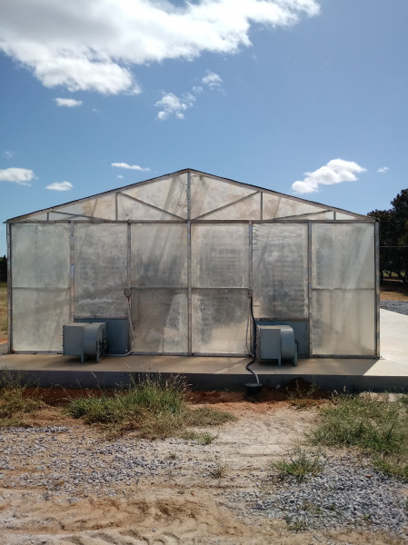 estufa de desidratação termica solar