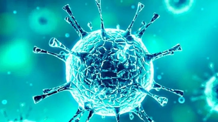 COVID19 RECOMENDAÇÕES DE PREVENÇÃO