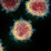 Análise dos Impactos do Coronavírus no setor ambiental