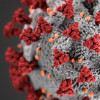 Pacto Global discute importância do saneamento básico na luta contra o novo coronavírus