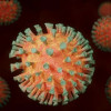 Pessoas diagnosticadas com coronavírus podem não apresentar sintomas