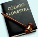 Enquete mostra que C&Atilde;&sup3;digo Florestal continua dividindo opini&Atilde;&micro;es